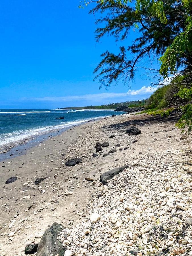 Le Petrel Bleu - Appartement Sur La Plage Des Tortues A Сен-Лу Екстериор снимка